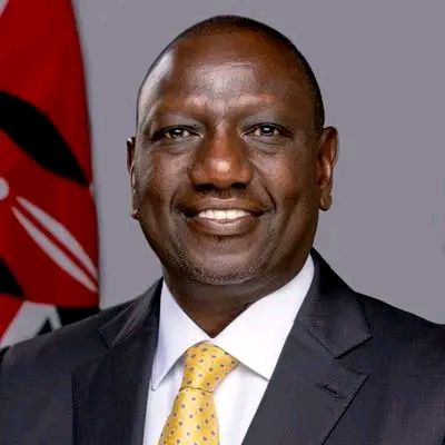 Intensification des combats à Goma : une rencontre entre Félix Tshisekedi et Paul Kagame annoncée dans 48 heures 3 17379614075046393342517643949861