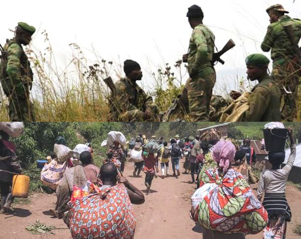 Guerre du M23-RDF : autour de Ngungu les combats se poursuivent et la population paye un lourd tribut 1 Compress_20250118_185737_7059