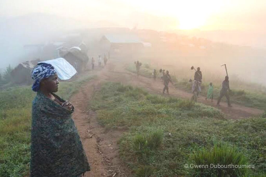 Nord-Kivu : des civils enlevés par les rebelles ADF au nord-est d’Eringeti à Beni 1 Compress_20250206_221517_7293