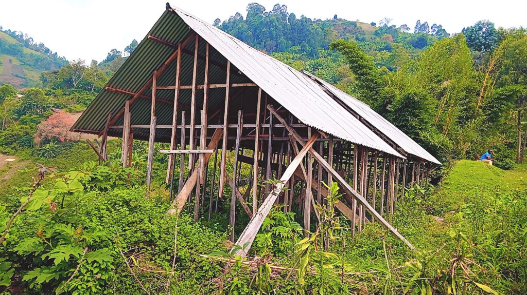 Sud-Kivu : Chérubin Imani Badesire lance la Fondation "les Chérubins" à Nyamasasa, les premières actions déjà visibles 14 img 20250728 1230421519582514999618699