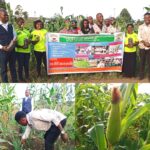 RDC : l&rsquo;ONG MSEAAF intensifie ses projets agricoles et environnementaux autour du parc des Virunga