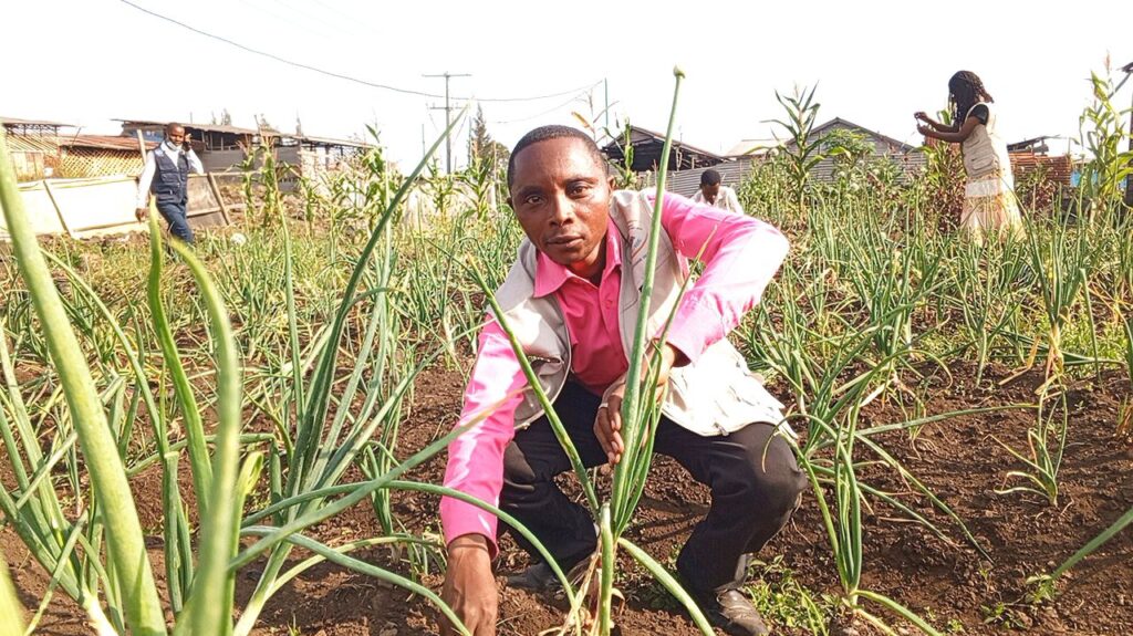 RDC : l'ONG MSEAAF intensifie ses projets agricoles et environnementaux autour du parc des Virunga 7 img 20260528 103842682956237358406591